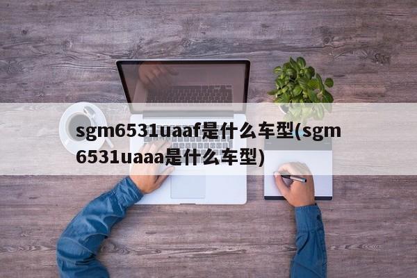 sgm6531uaaf是什么车型(sgm6531uaaa是什么车型)